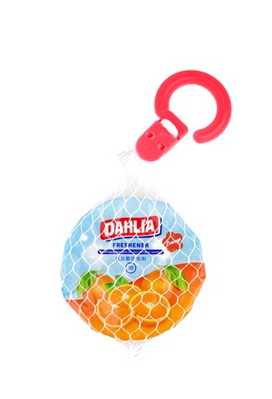 Dahlia orange k24 gantung
